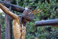 /album/fotogaleria/mki-jpg/